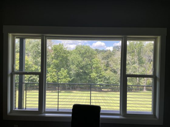 back window film