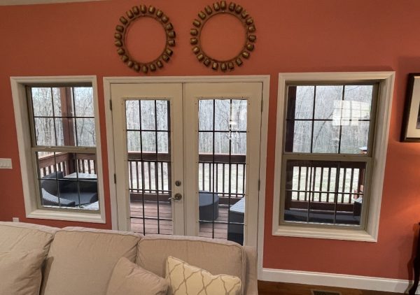 backdoor window